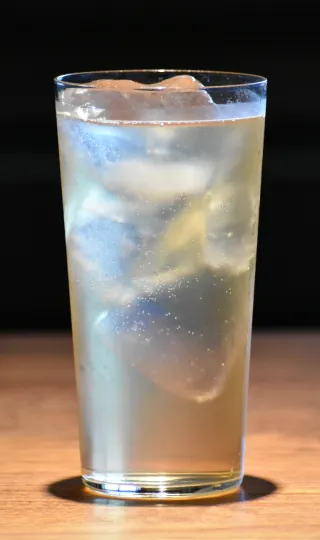 ジンバック